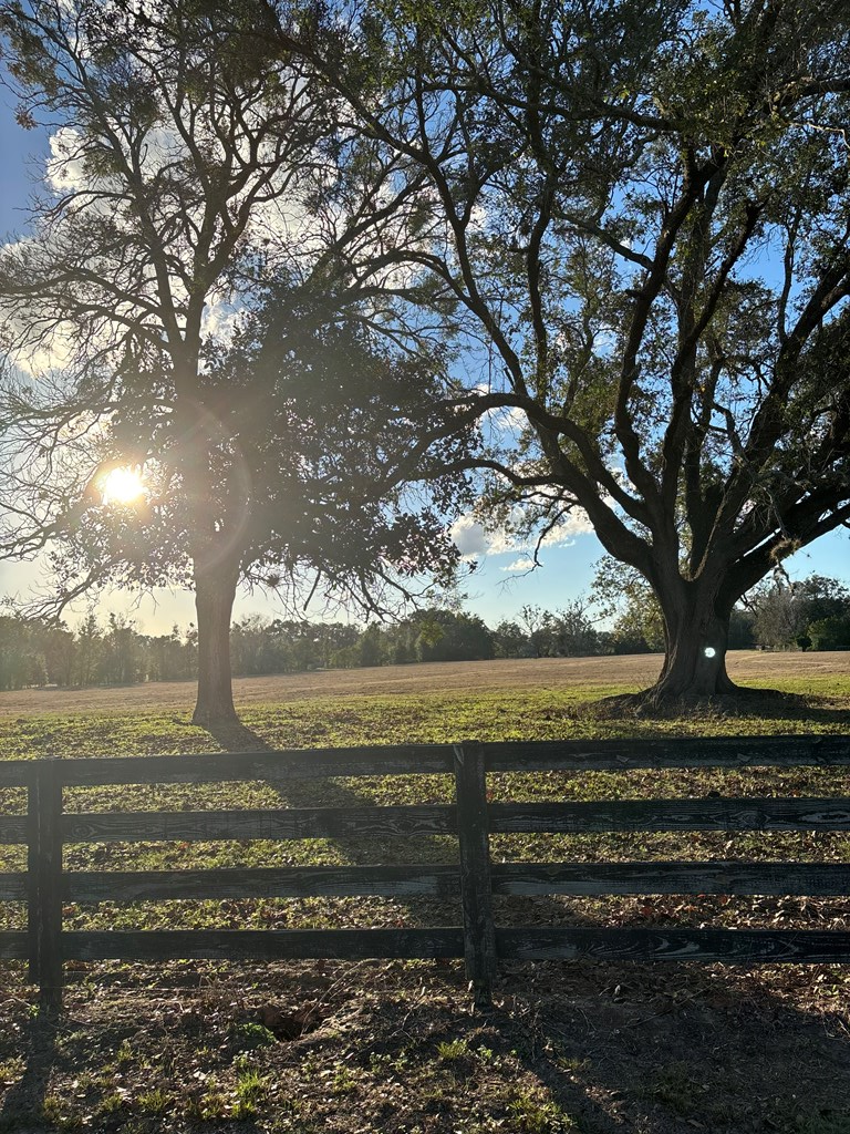 TBD NW 165th Ave, High Springs, FL 32643 - #3