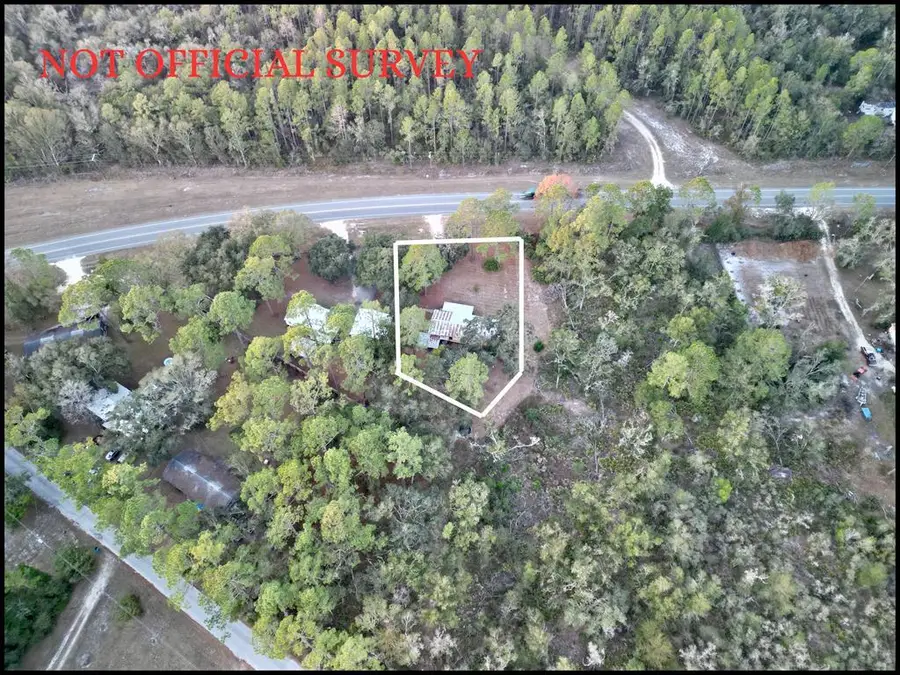 1732 NE Hwy 351, Cross City, FL 32628 - #2
