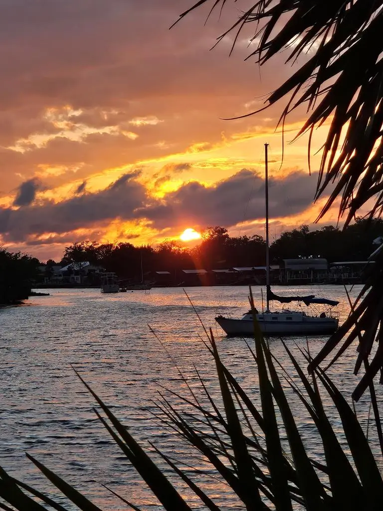 915 SE Riverside Dr, Steinhatchee, FL 32359 - #3