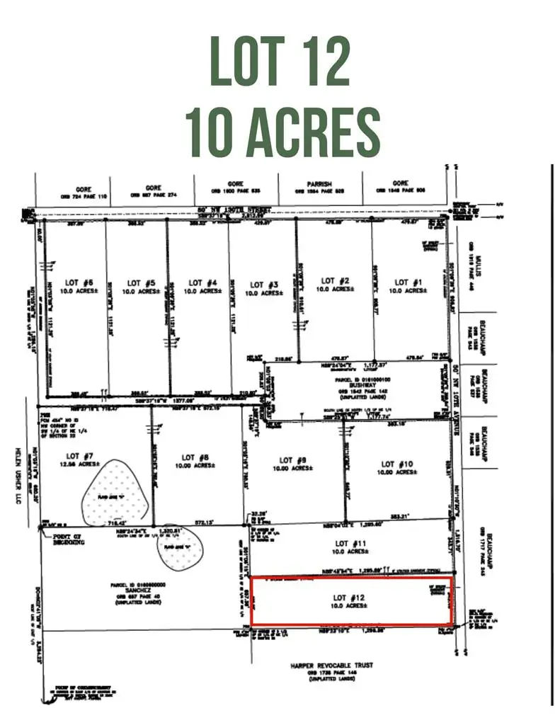 Lot 12 NW 10th Ave, Chiefland, FL 32626 - #3