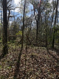 SW 22nd Pl, Bell, FL 32619 - #2