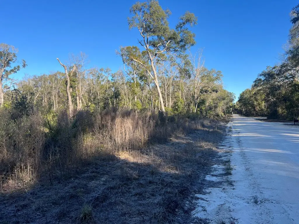 NE 673rd St, Old Town, FL 32680 - #1