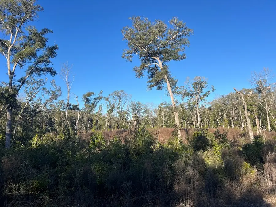 NE 673rd St, Old Town, FL 32680 - #3