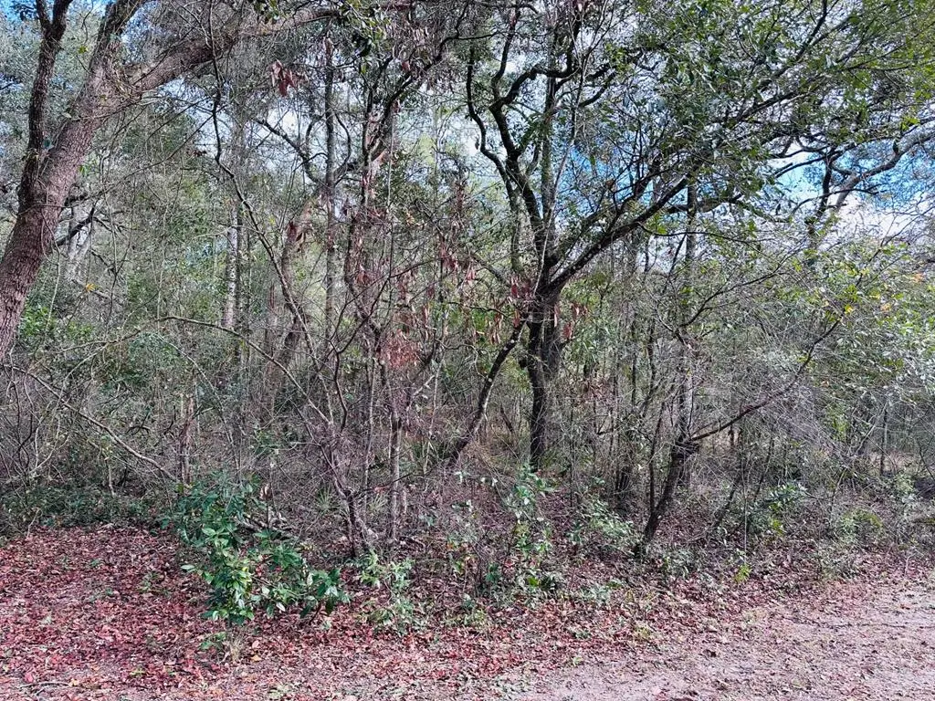 16151 NW 80th Ct, Fanning Springs, FL 32693 - #1