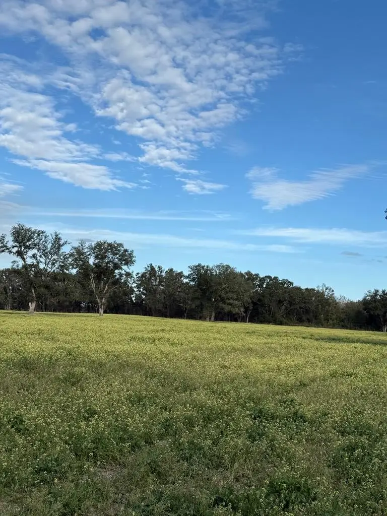 Lot 4 NW 35th Ave, Chiefland, FL 32626 - #3