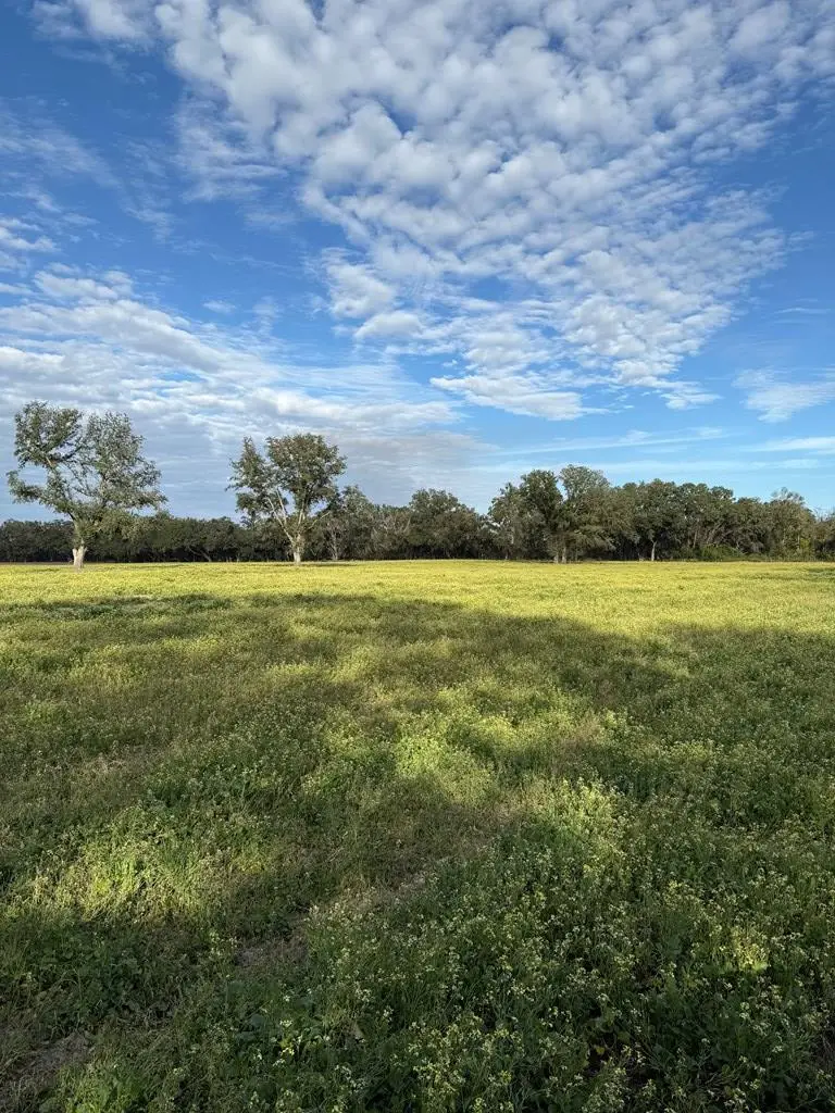 Lot 5 NW 35th Ave, Chiefland, FL 32626 - #3