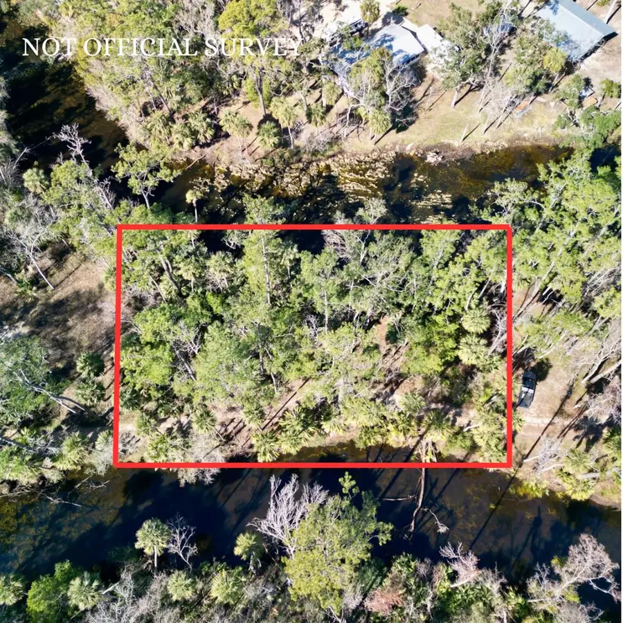 1400 NE Jr Howell Rd, Steinhatchee, FL 32359 - #3