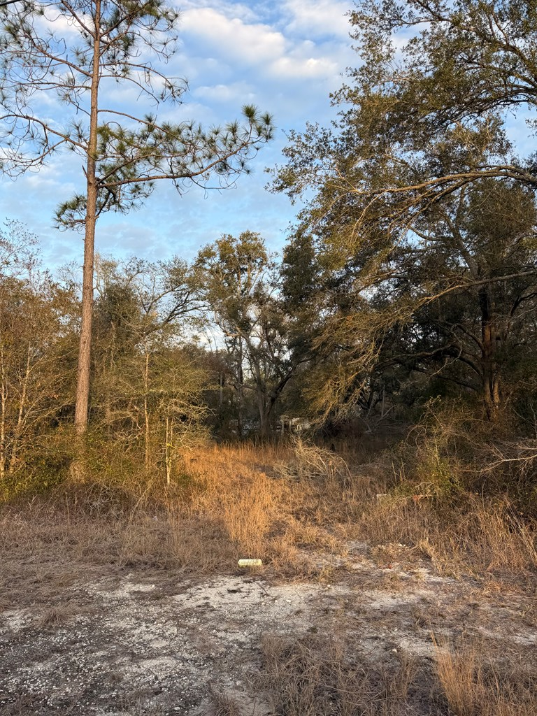 40 NE 145th St, Cross City, FL 32628 - #2