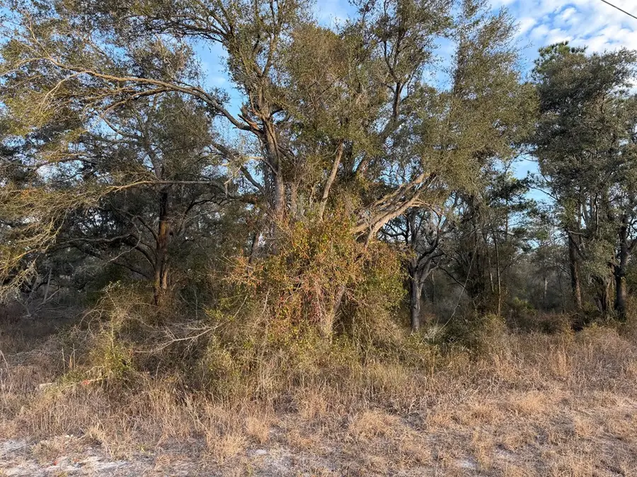 40 NE 145th St, Cross City, FL 32628 - #3