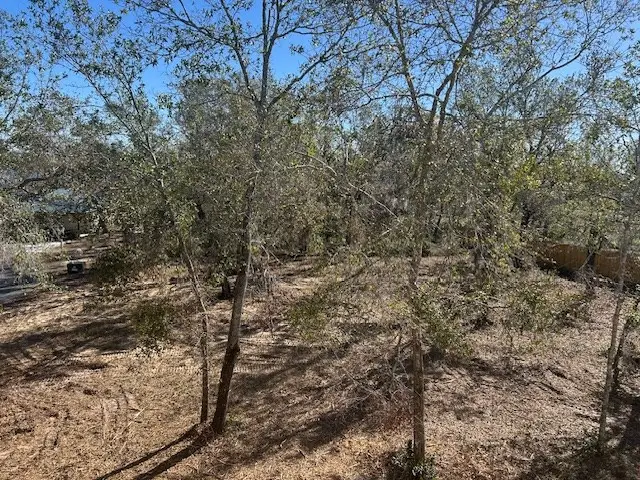 158 sw 279th Ave, Steinhatchee, FL 32359 - #3