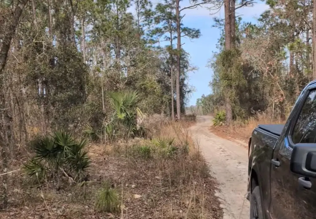 SE 122nd Ave, Morriston, FL 32668 - #1