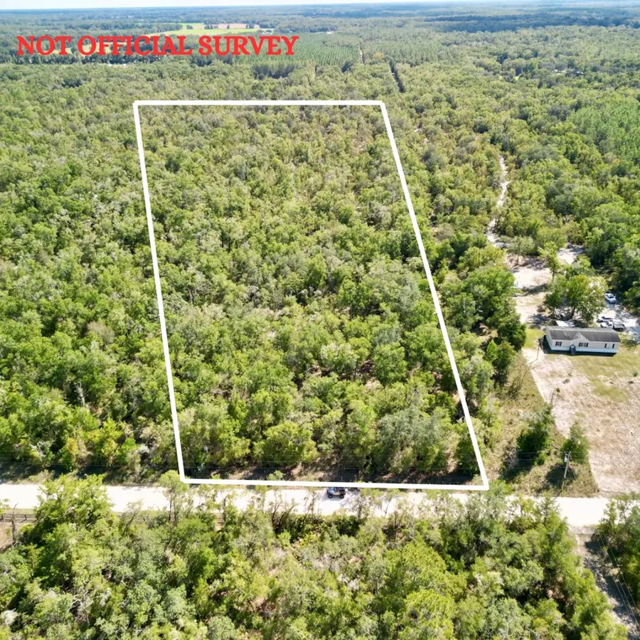 NW 55th St, Bell, FL 32619 - #3