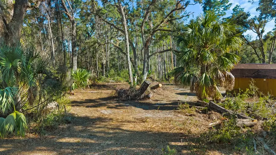 SE Hwy 55a, Old Town, FL 32680 - #2