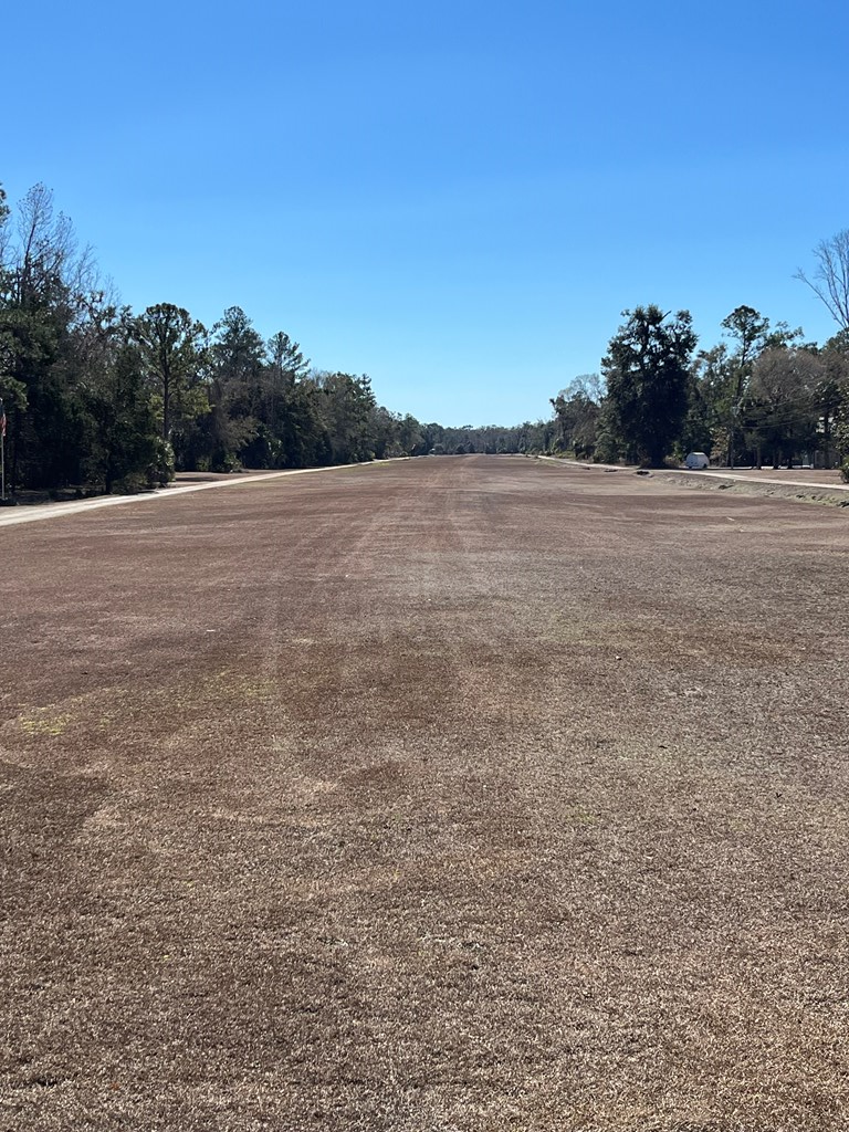 Ancient Oaks Dr, Steinhatchee, FL 32359 - #3