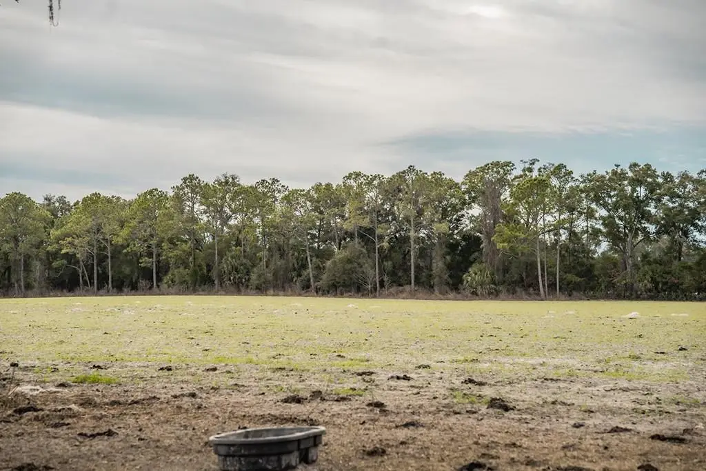 Lot 4 Country Hall Road, Chiefland, FL 32626 - #1