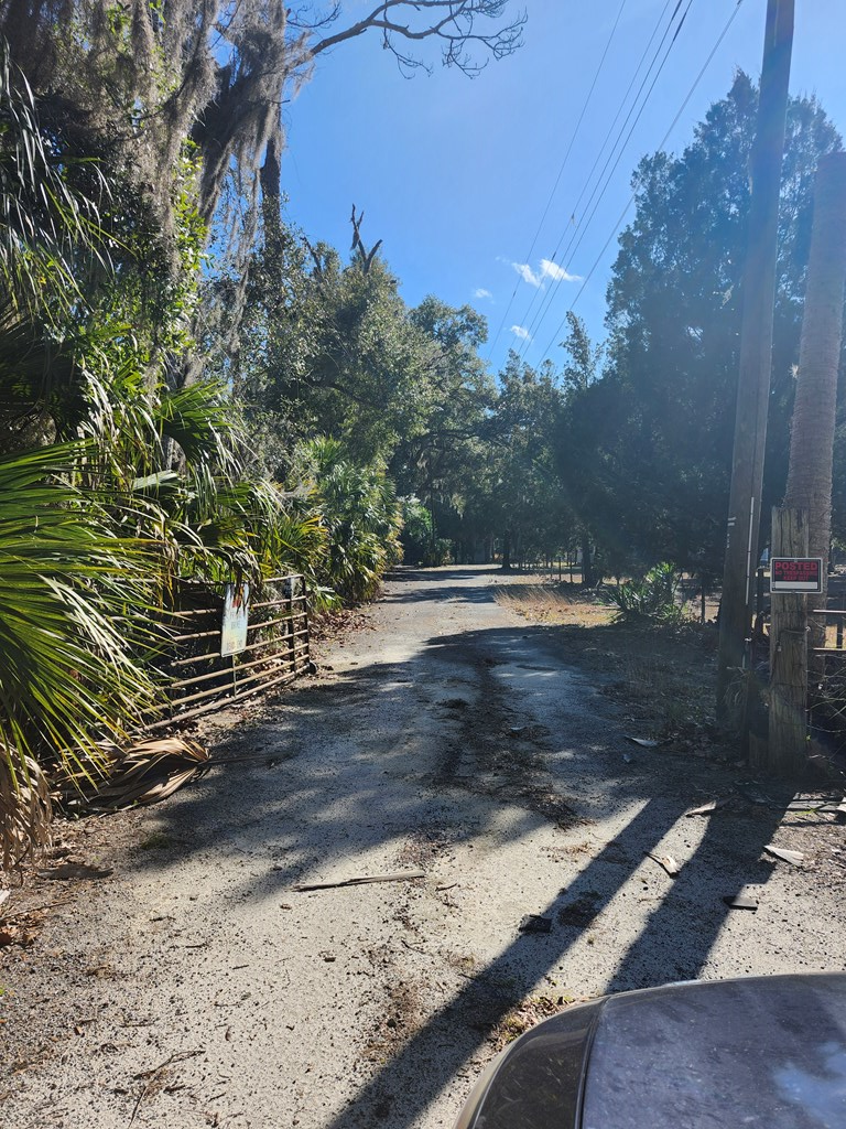 123&124 SE 423rd St, Cross City North, FL 32008 - #2