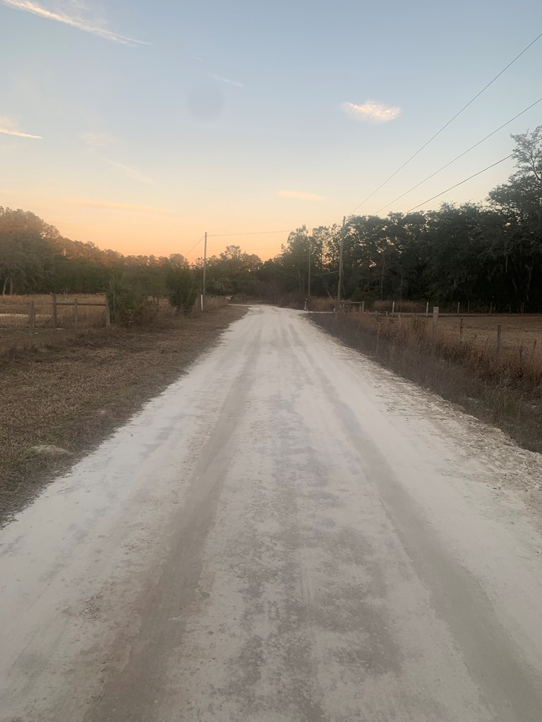 000 175th Ave, Old Town, FL 32680 - #2