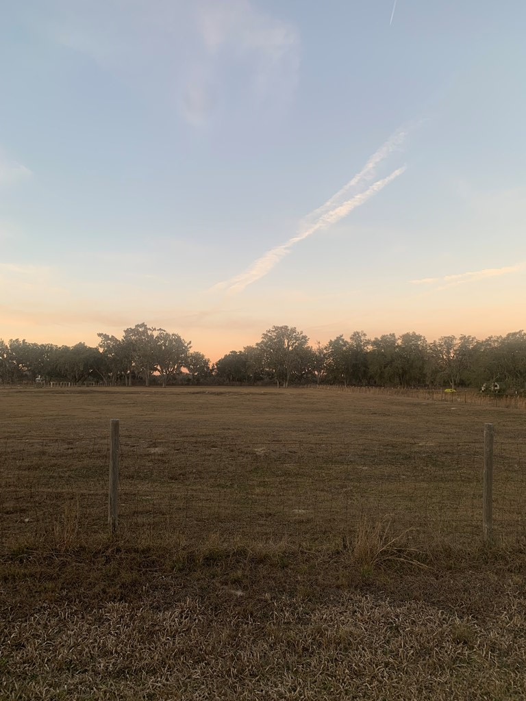 000 175th Ave, Old Town, FL 32680 - #3