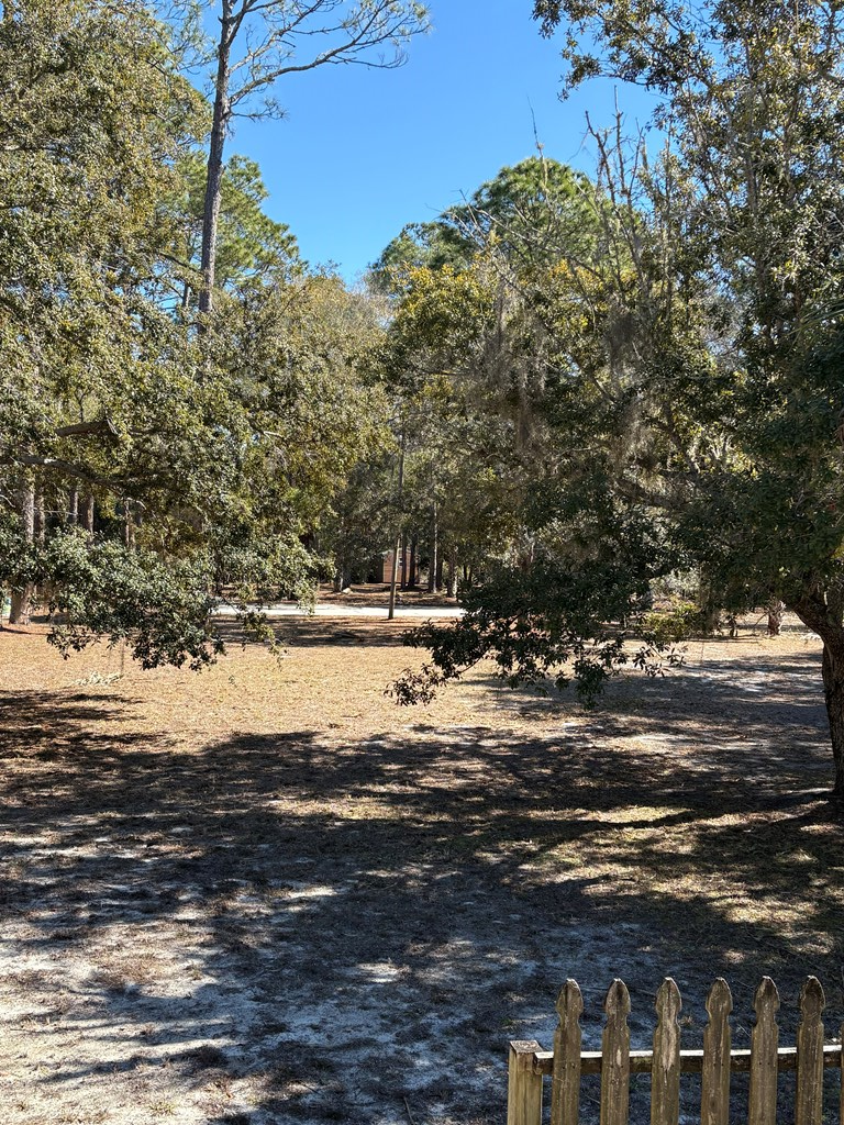 135 SE 340th St, Old Town, FL 32680 - #3