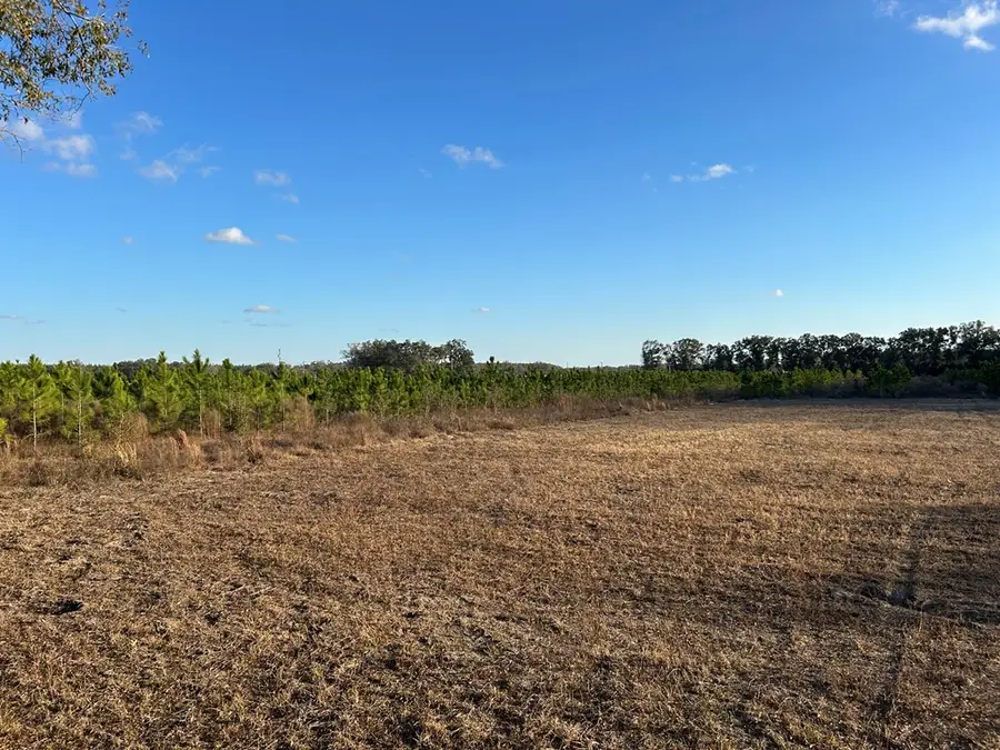 10th St, Bell, FL 32619 - #2