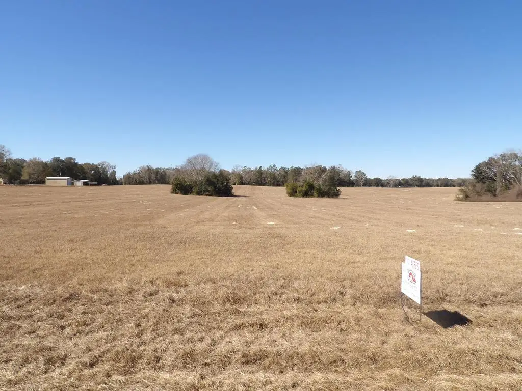 50th Ave, Trenton, FL 32693 - #1