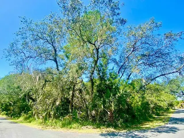 Lot 2 Ingleside Dr, Cedar Key, FL 32625 - #2
