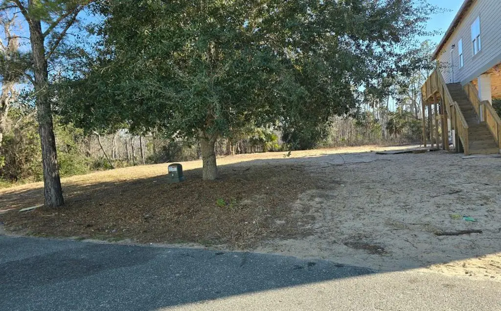 TBD SW 294th Ave, Steinhatchee, FL 32359 - #1