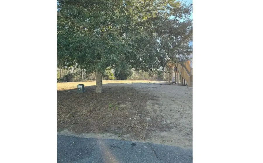 TBD SW 294th Ave, Steinhatchee, FL 32359 - #3