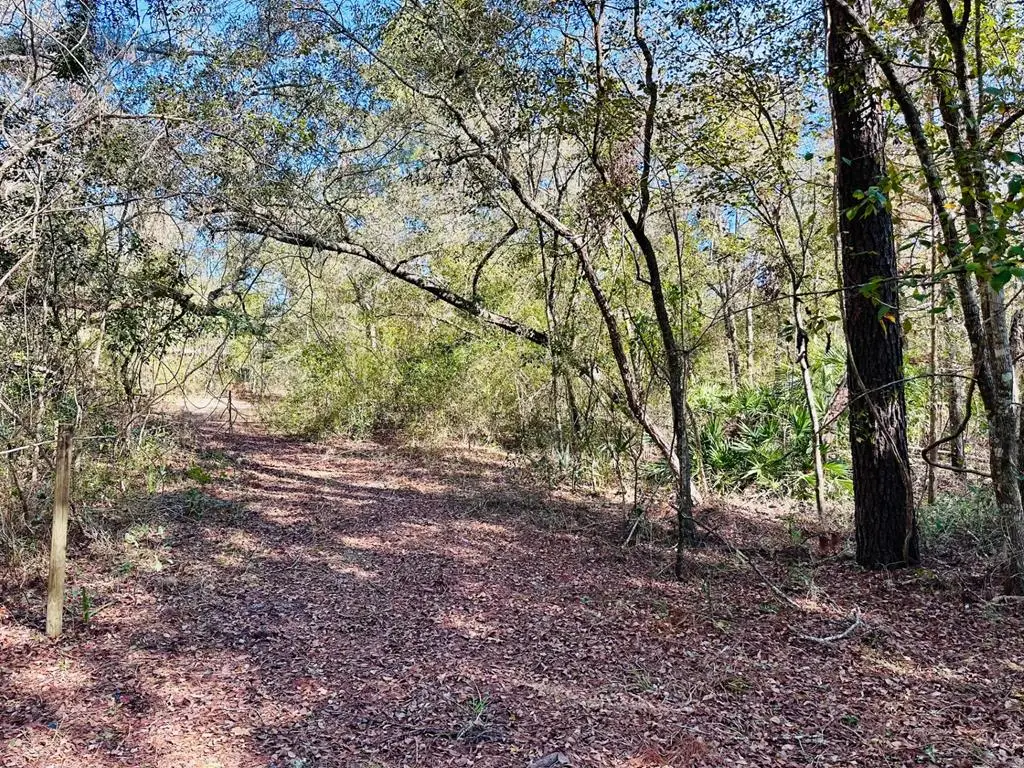 0 NE 229 Ln, Old Town, FL 32680 - #1