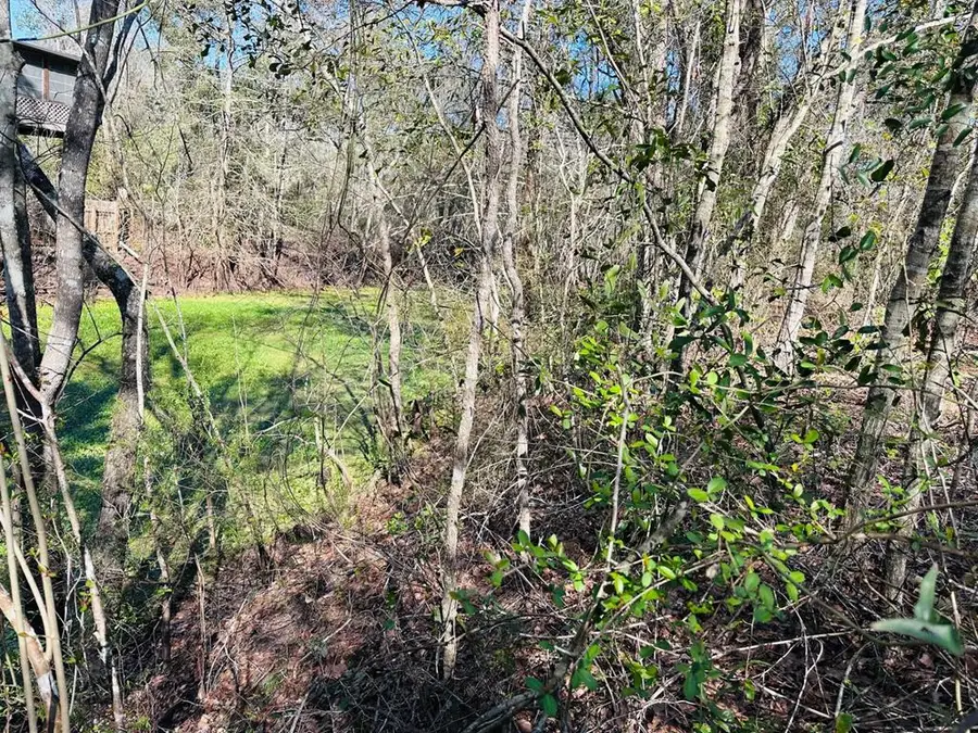 0 NE 229 Ln, Old Town, FL 32680 - #2