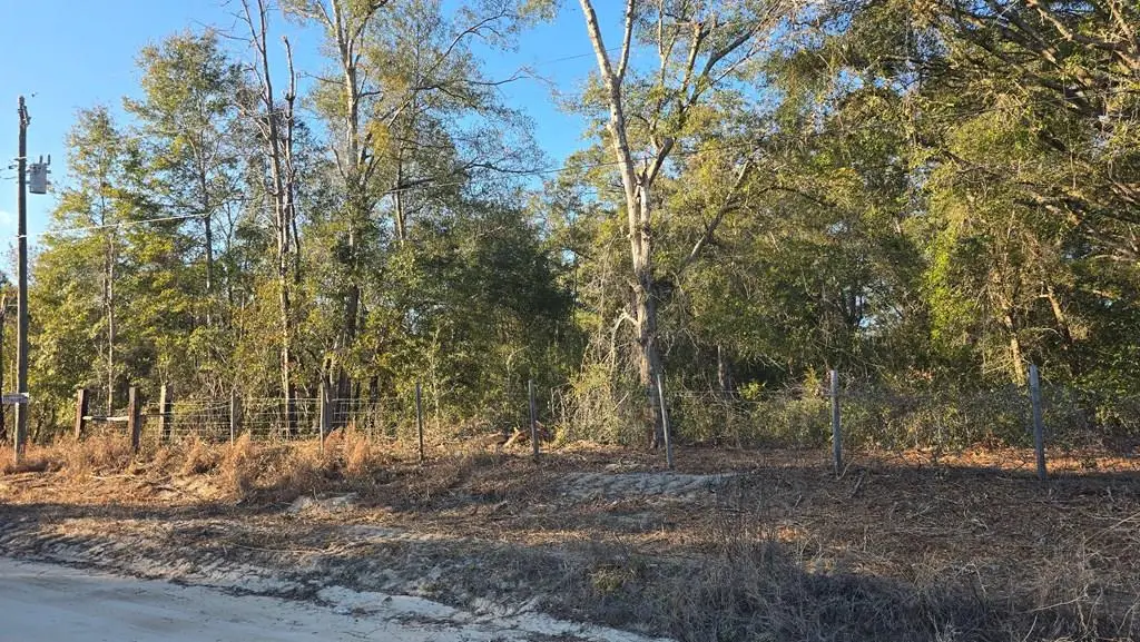 SE 82nd St, Trenton, FL 32693 - #1