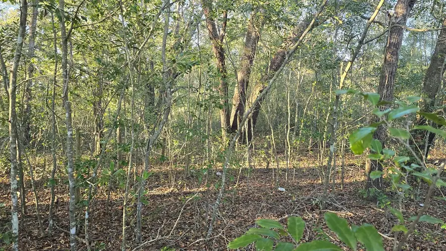 SE 82nd St, Trenton, FL 32693 - #3