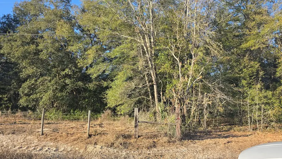 82nd St, Trenton, FL 32693 - #2