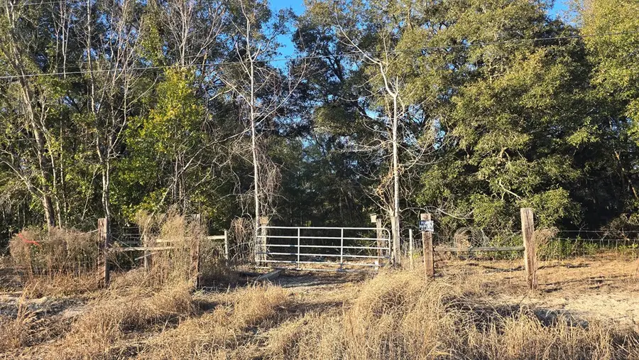 82nd St, Trenton, FL 32693 - #3