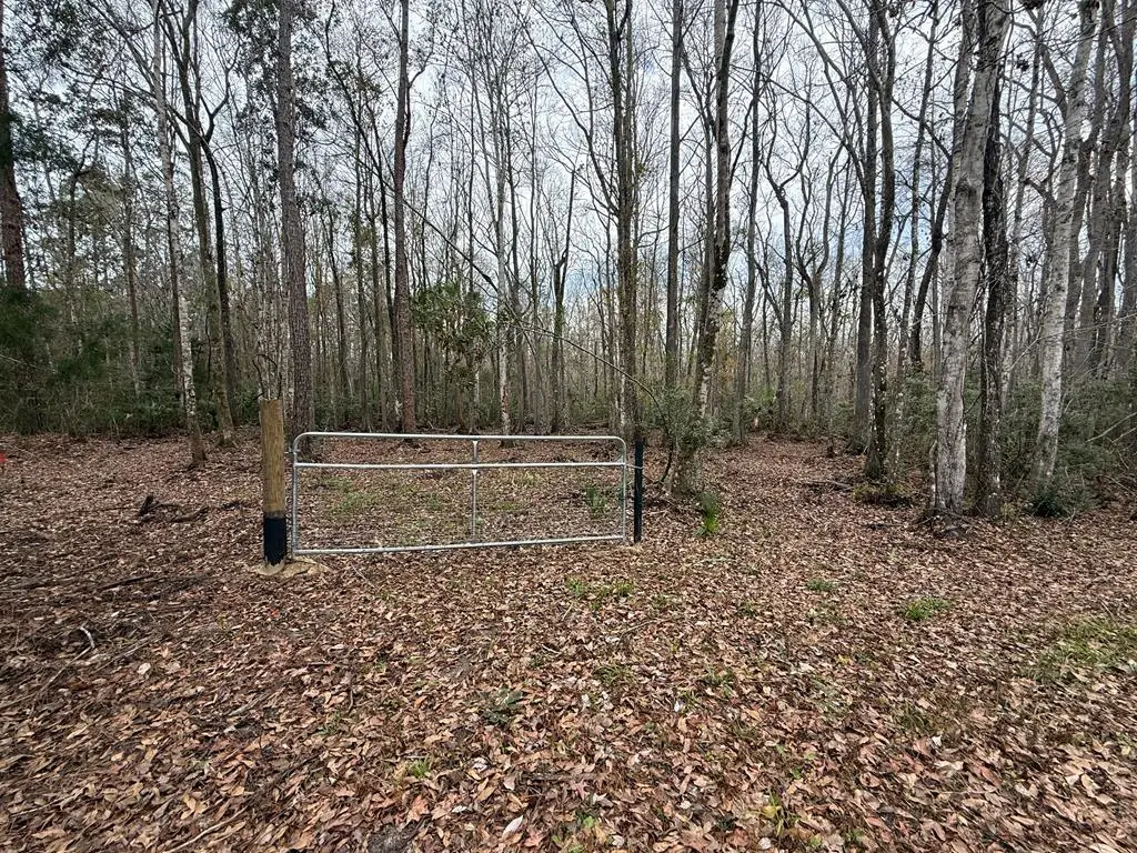 10622 S Le Baron Dr, Homosassa, FL 34448 - #1