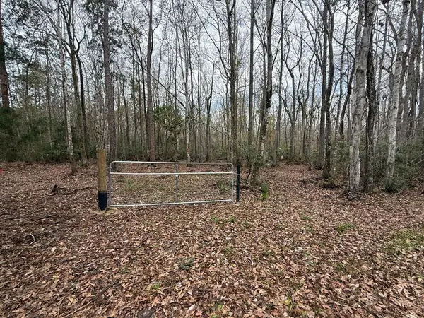 10622 S Le Baron Dr, Homosassa, FL 34448