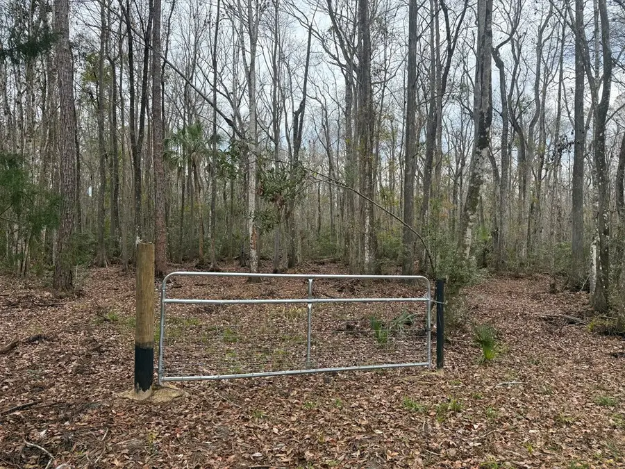 10622 S Le Baron Dr, Homosassa, FL 34448 - #2