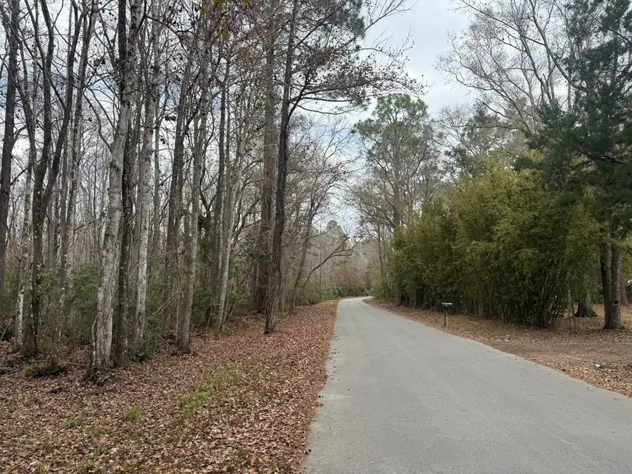 10622 S Le Baron Dr, Homosassa, FL 34448 - #3