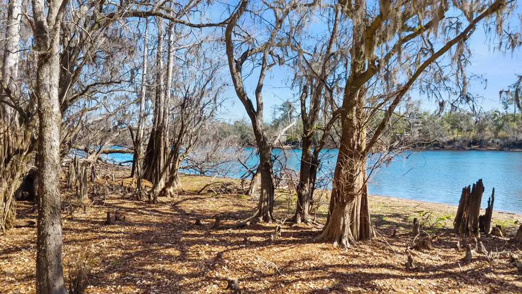 NE 880th St, Old Town, FL 32680 - #1