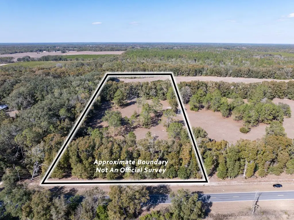 Lot 1 County Road 236, Bell, FL 32619 - #1
