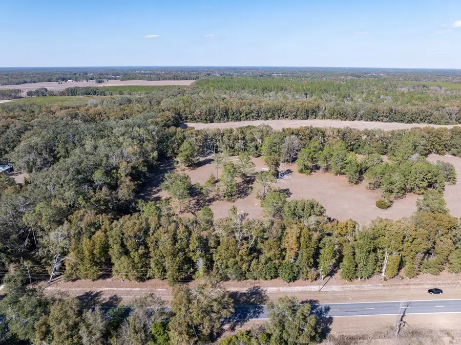Lot 1 County Road 236, Bell, FL 32619 - #2
