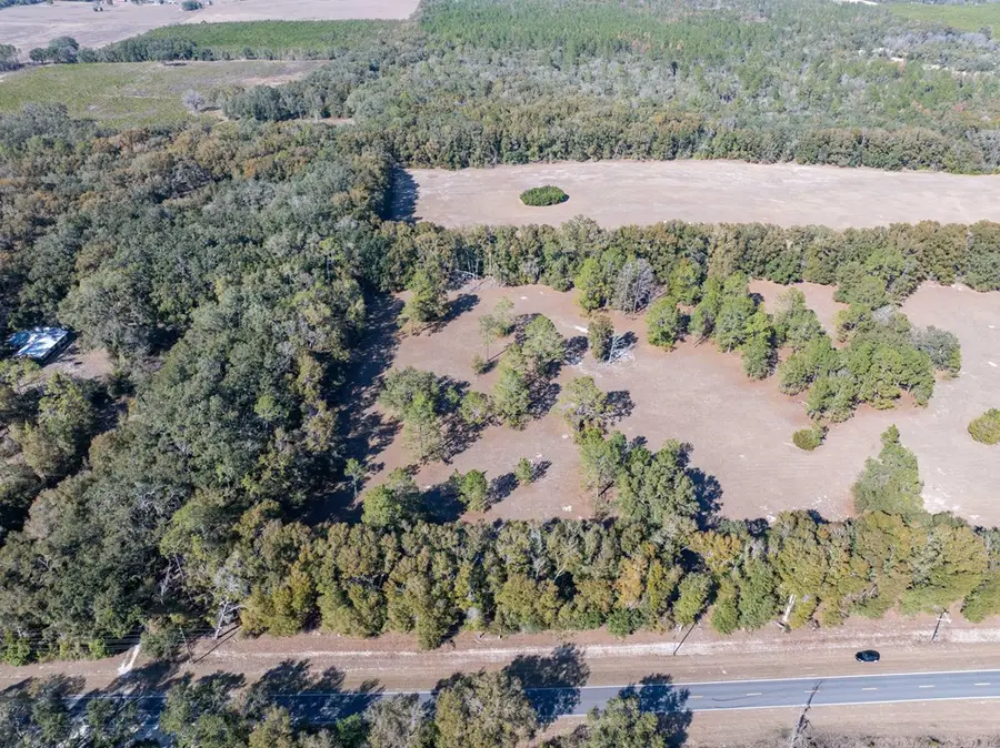 Lot 1 County Road 236, Bell, FL 32619 - #3