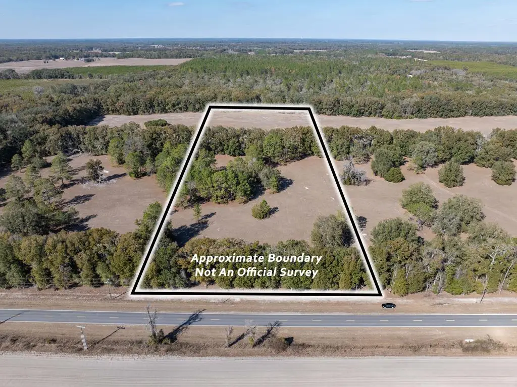 Lot 2 County Road 236, Bell, FL 32619 - #1