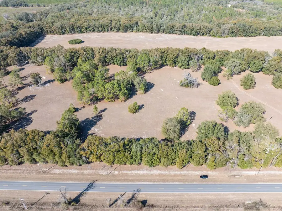 Lot 2 County Road 236, Bell, FL 32619 - #2