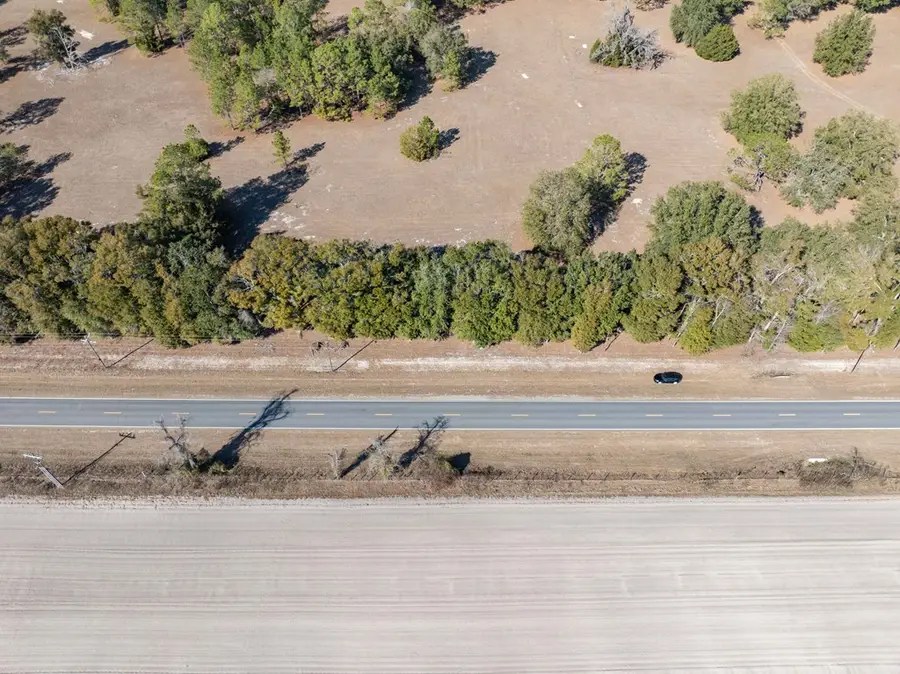 Lot 2 County Road 236, Bell, FL 32619 - #3