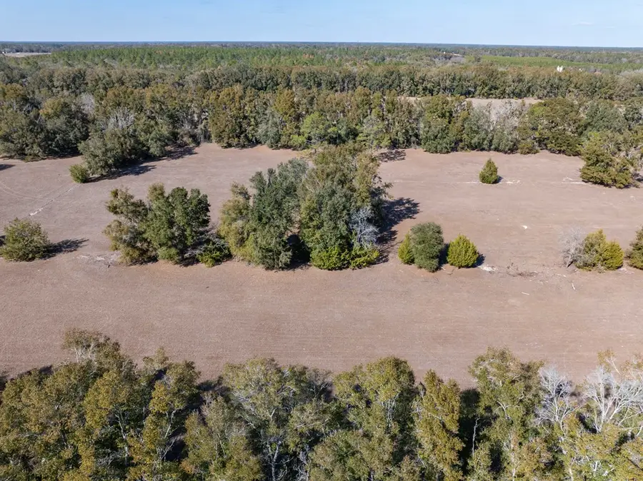 Lot 4 County Road 236, Bell, FL 32619 - #3
