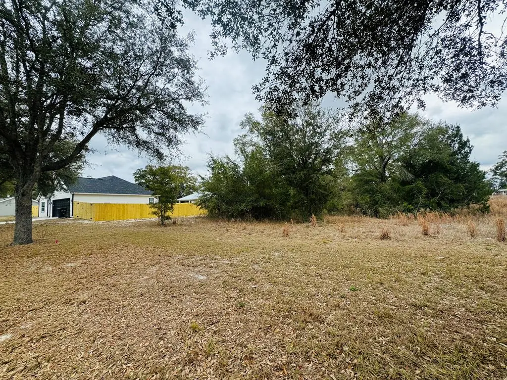 3581 Frederick Ave, Bell, FL 32619 - #1