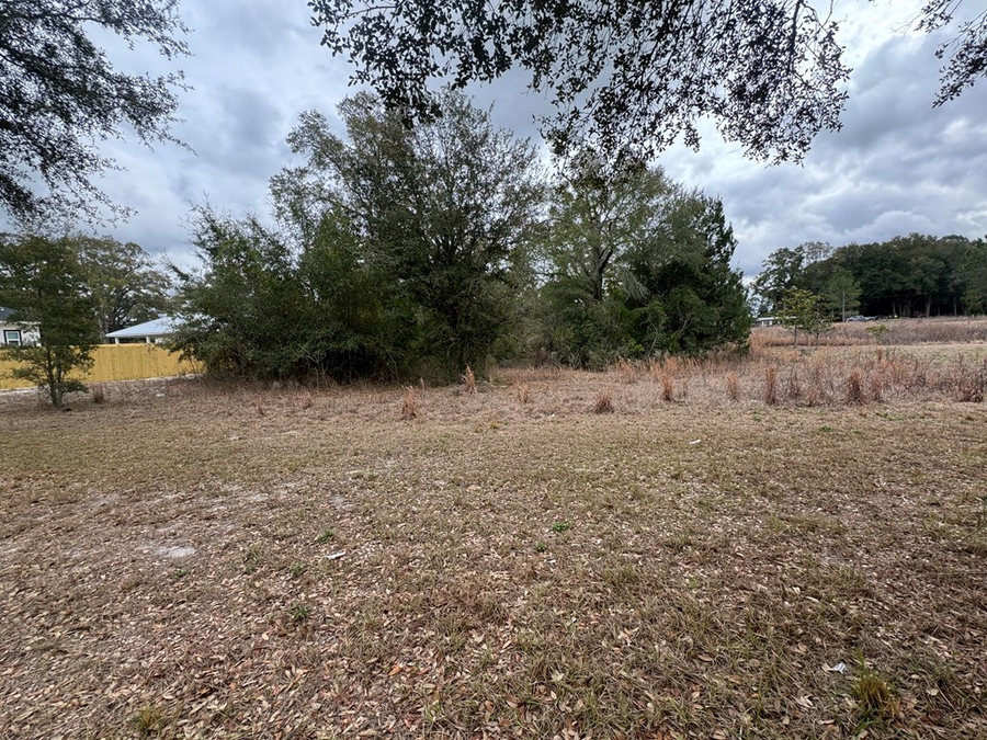 3581 Frederick Ave, Bell, FL 32619 - #2