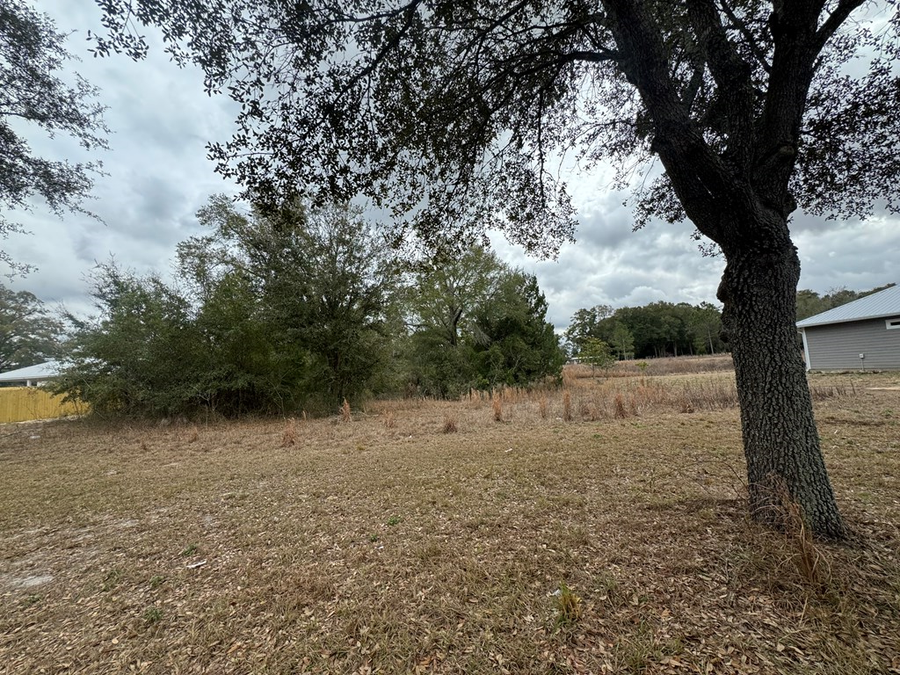 3581 Frederick Ave, Bell, FL 32619 - #3