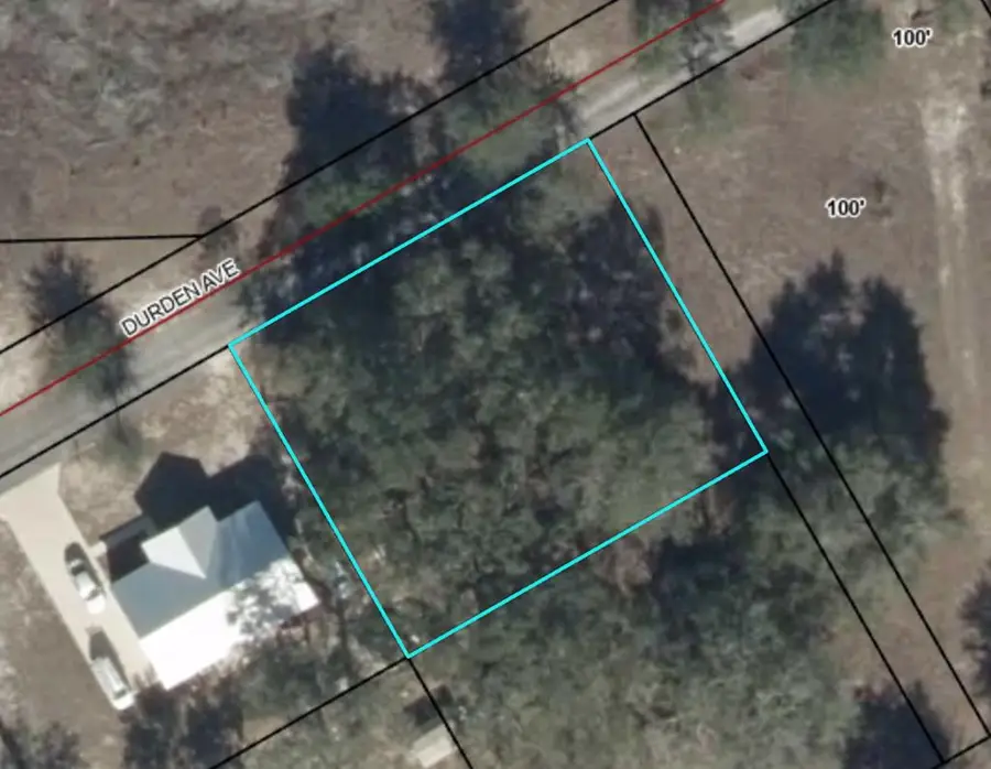 3543 Durden Ave, Bell, FL 32619 - #2